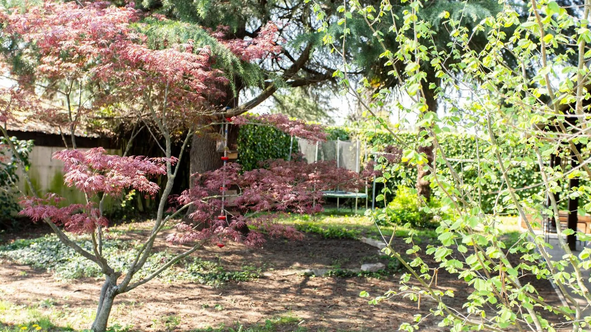 בית נופש הוילה טרוויסו Casa Con Giardino איטליה